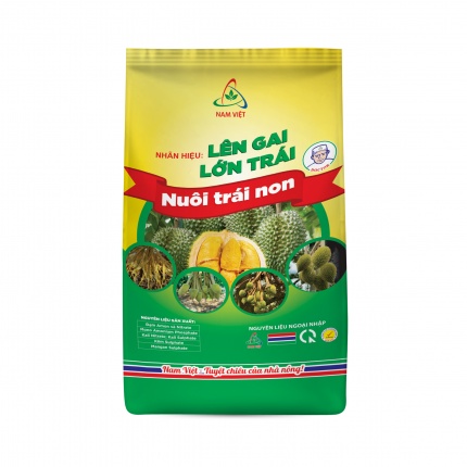 LÊN GAI - LỚN TRÁI
